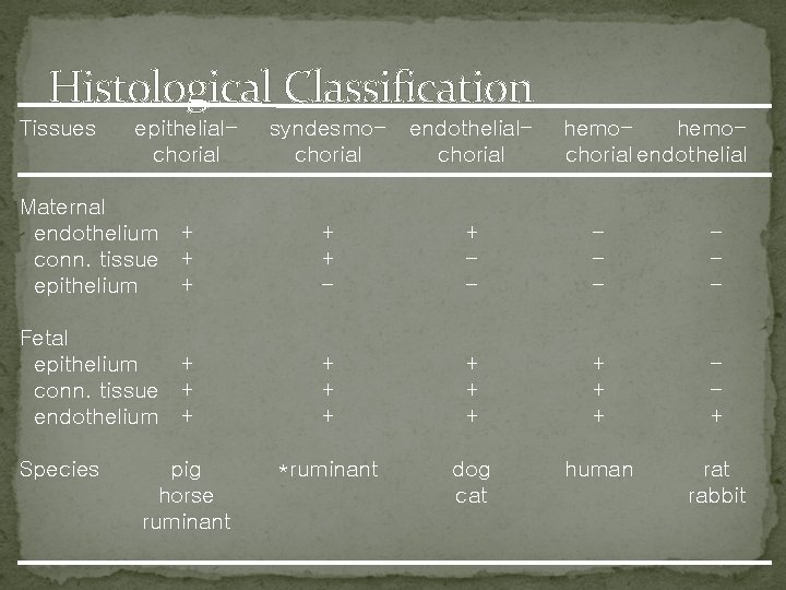Histological Classification Tissues syndesmochorial endothelialchorial Maternal endothelium + conn. tissue + epithelium + +