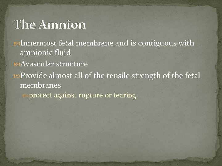 The Amnion Innermost fetal membrane and is contiguous with amnionic fluid Avascular structure Provide