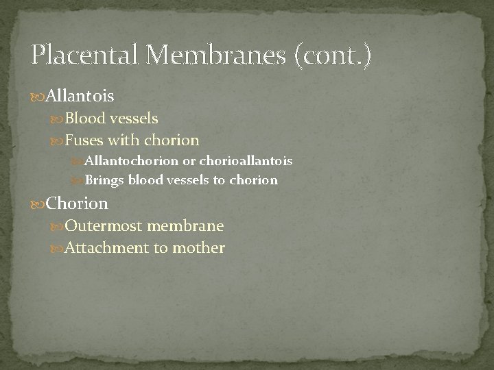 Placental Membranes (cont. ) Allantois Blood vessels Fuses with chorion Allantochorion or chorioallantois Brings