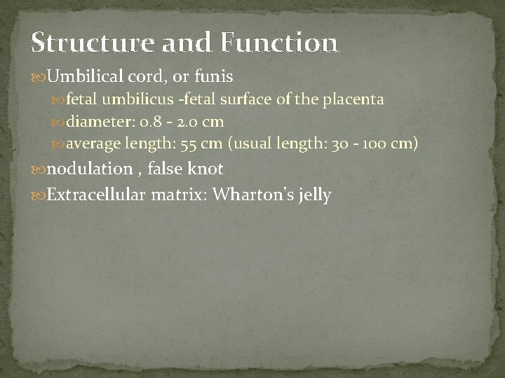 Structure and Function Umbilical cord, or funis fetal umbilicus -fetal surface of the placenta