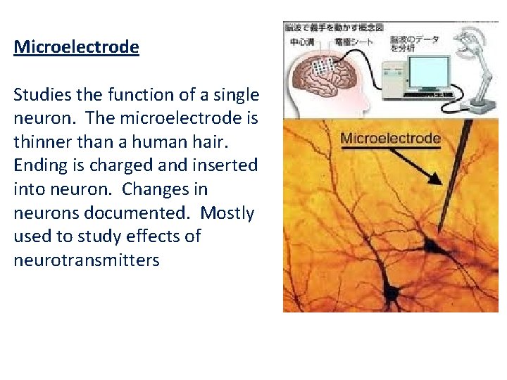 Microelectrode Studies the function of a single neuron. The microelectrode is thinner than a