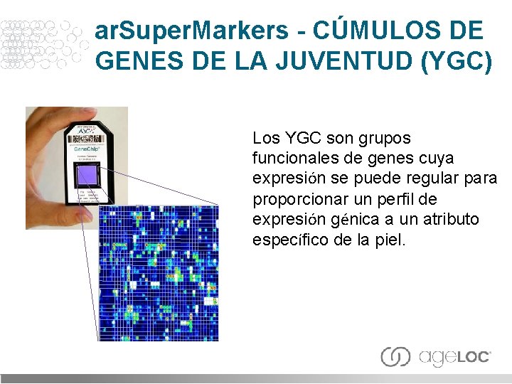 ar. Super. Markers - CÚMULOS DE GENES DE LA JUVENTUD (YGC) Los YGC son