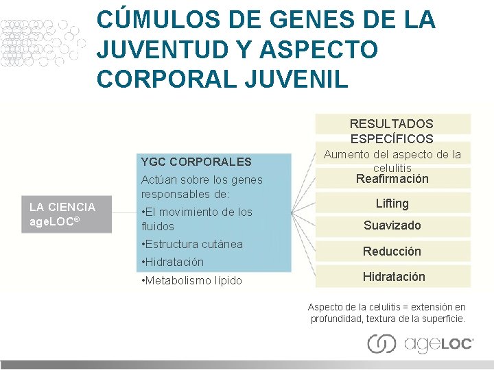 CÚMULOS DE GENES DE LA JUVENTUD Y ASPECTO CORPORAL JUVENIL RESULTADOS ESPECÍFICOS YGC CORPORALES