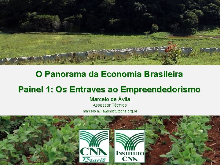 O Panorama da Economia Brasileira Painel 1: Os Entraves ao Empreendedorismo Marcelo de Ávila