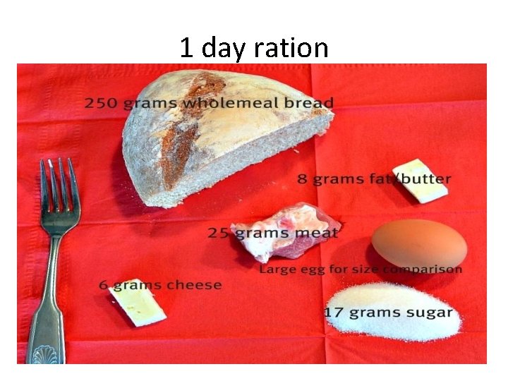 1 day ration 