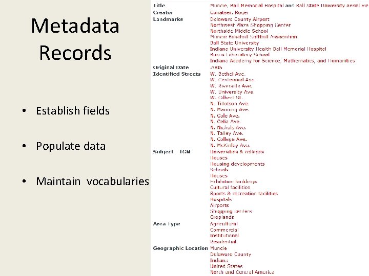 Metadata Records • Establish fields • Populate data • Maintain vocabularies 