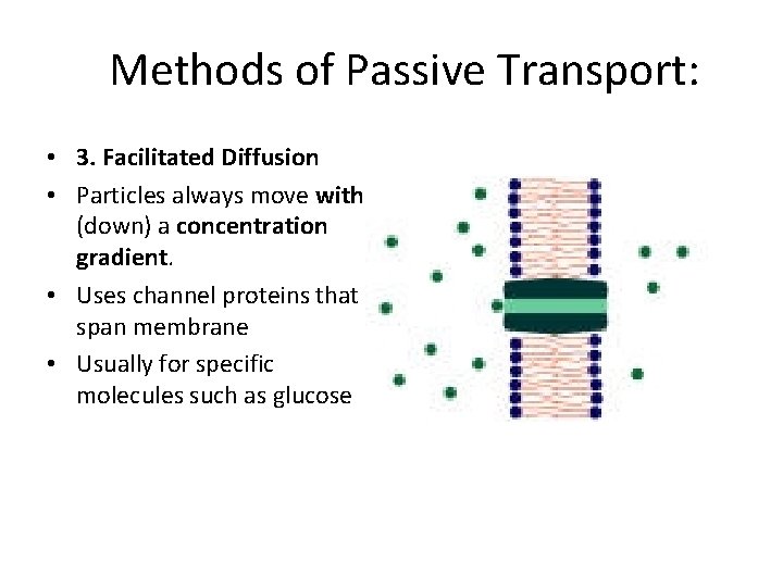 Methods of Passive Transport: • 3. Facilitated Diffusion • Particles always move with (down)