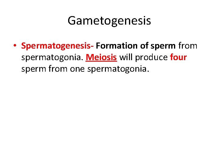 Gametogenesis • Spermatogenesis- Formation of sperm from spermatogonia. Meiosis will produce four sperm from