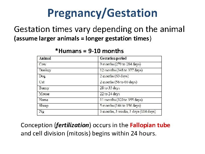 Pregnancy/Gestation times vary depending on the animal (assume larger animals = longer gestation times)