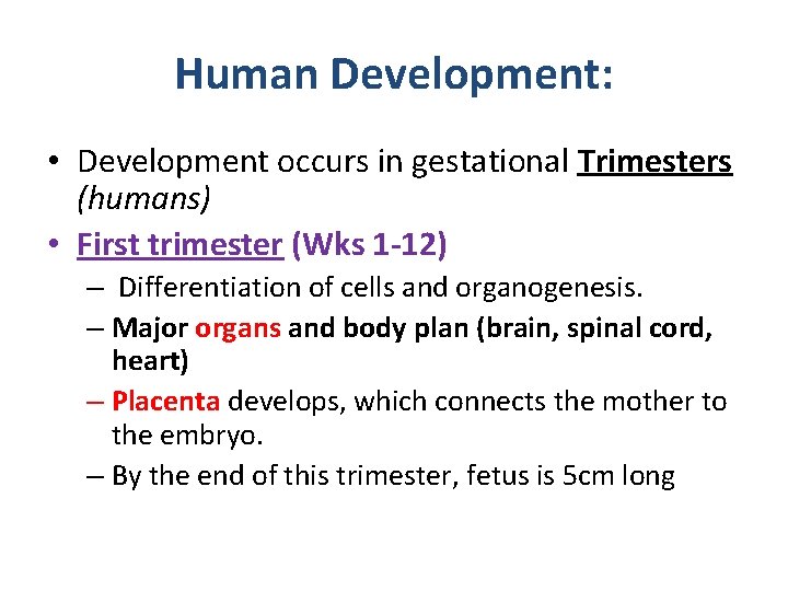 Human Development: • Development occurs in gestational Trimesters (humans) • First trimester (Wks 1