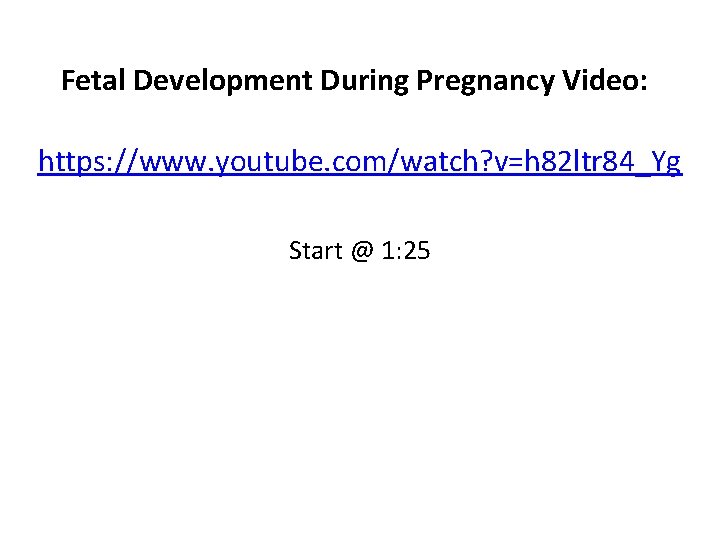 Fetal Development During Pregnancy Video: https: //www. youtube. com/watch? v=h 82 ltr 84_Yg Start