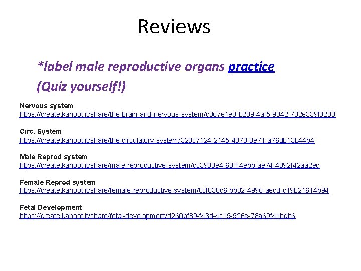 Reviews *label male reproductive organs practice (Quiz yourself!) Nervous system https: //create. kahoot. it/share/the-brain-and-nervous-system/c