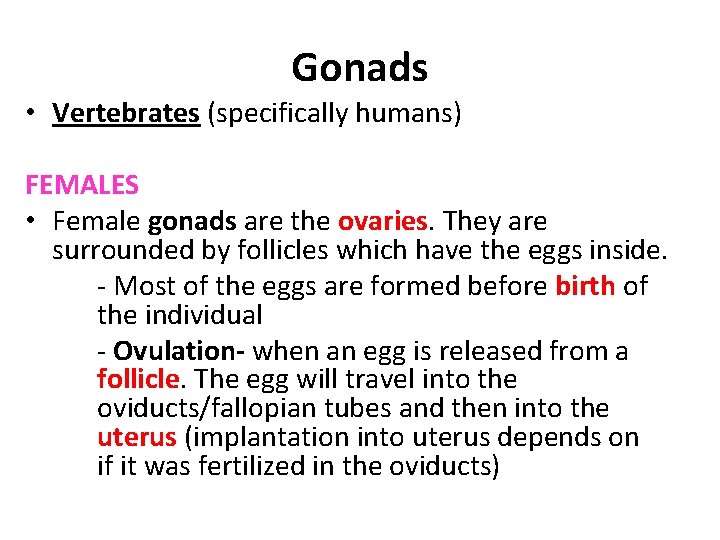 Gonads • Vertebrates (specifically humans) FEMALES • Female gonads are the ovaries. They are