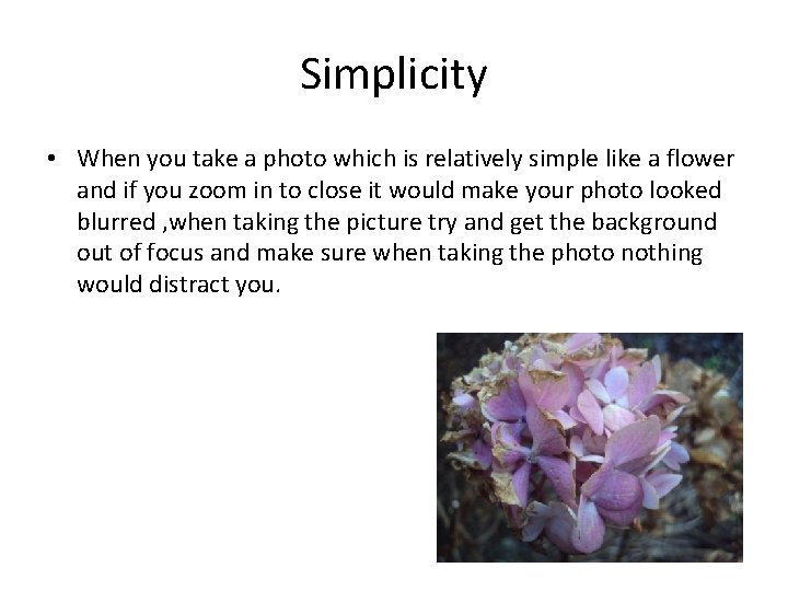 Simplicity • When you take a photo which is relatively simple like a flower