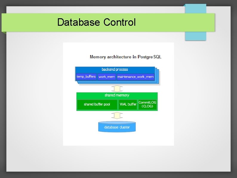 Database Control 