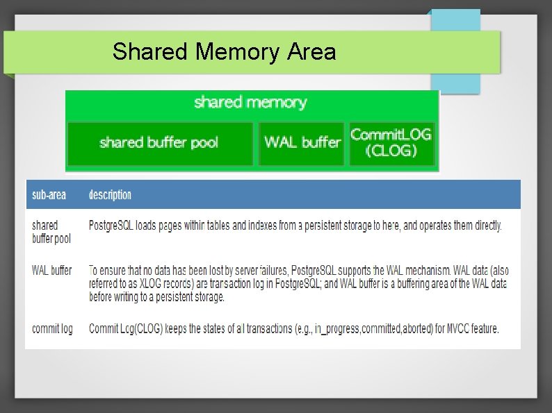 Shared Memory Area 