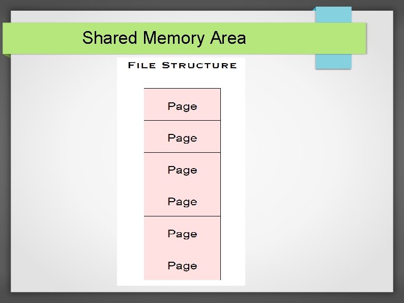 Shared Memory Area 
