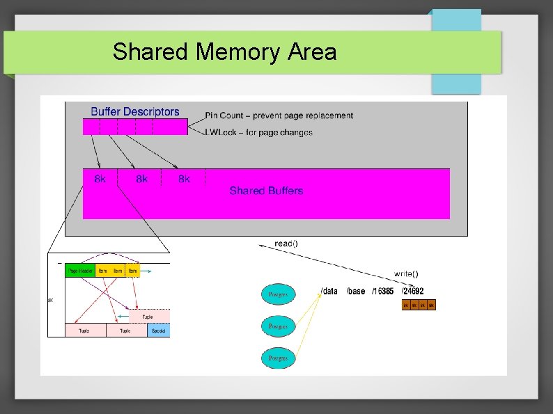 Shared Memory Area 