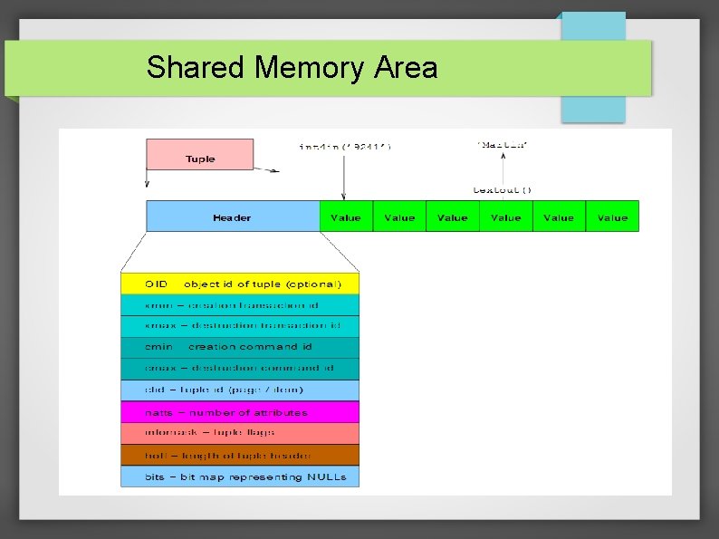 Shared Memory Area 