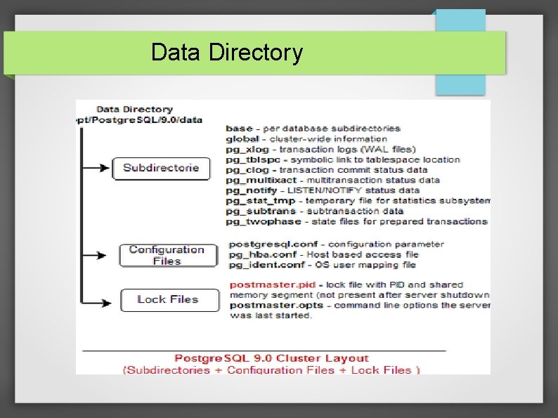 Data Directory 