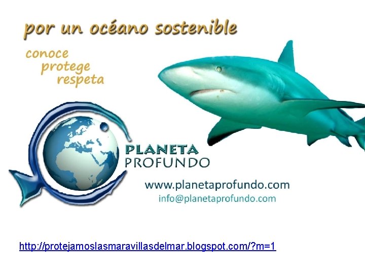 http: //protejamoslasmaravillasdelmar. blogspot. com/? m=1 