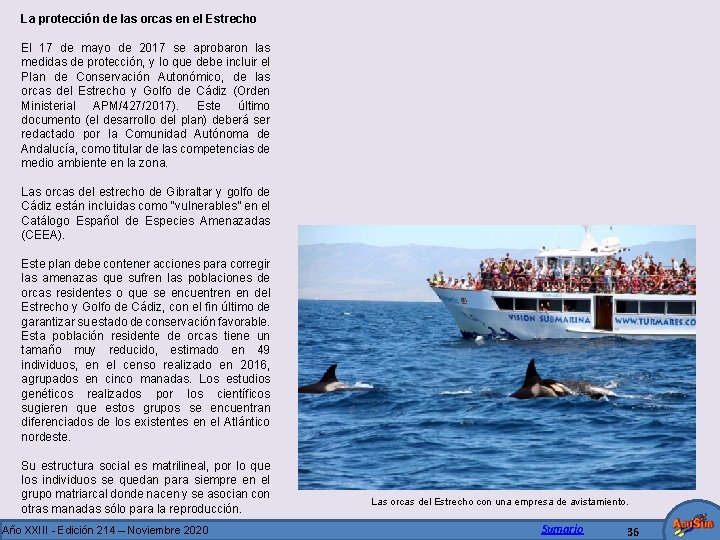 La protección de las orcas en el Estrecho El 17 de mayo de 2017
