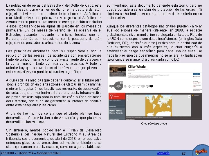 La población de orcas del Estrecho y del Golfo de Cádiz está especializada, como