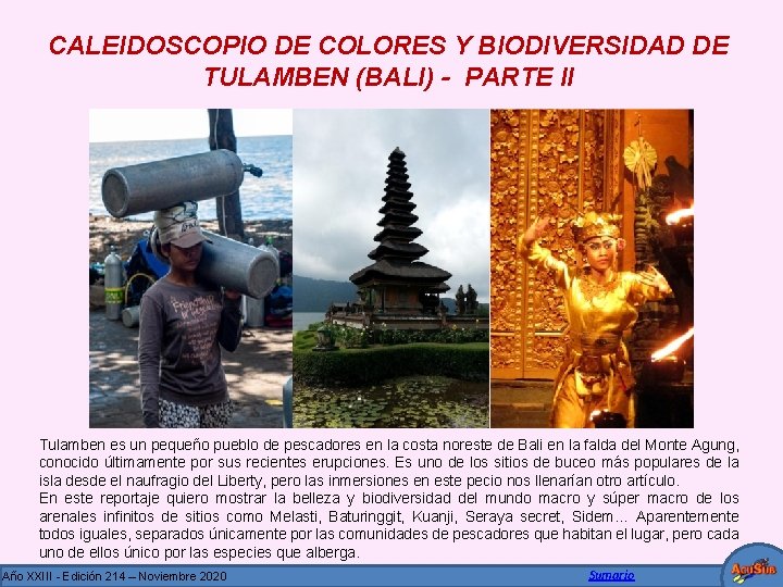 CALEIDOSCOPIO DE COLORES Y BIODIVERSIDAD DE TULAMBEN (BALI) - PARTE II Tulamben es un