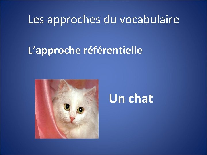 Les approches du vocabulaire L’approche référentielle Un chat 