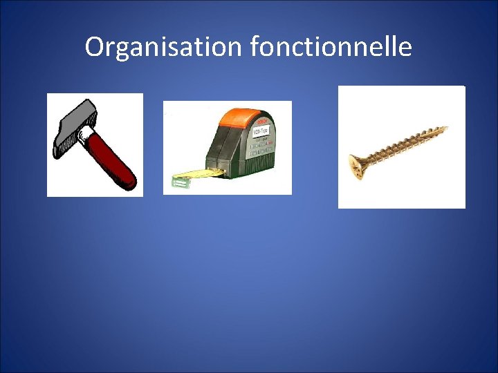 Organisation fonctionnelle 