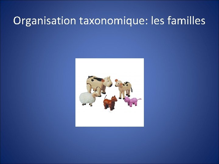 Organisation taxonomique: les familles 