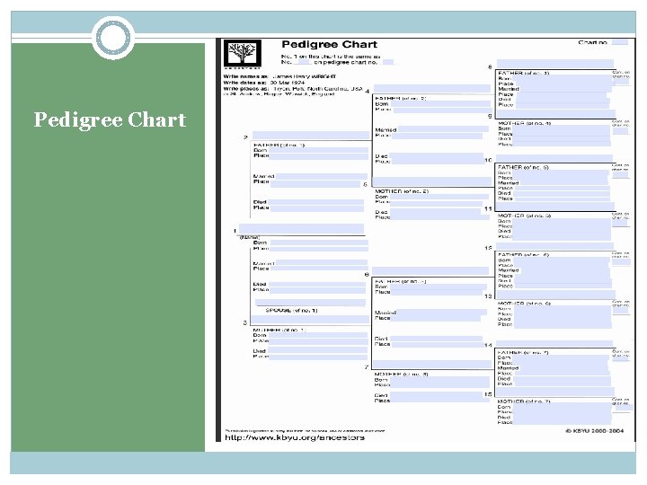 Pedigree Chart 