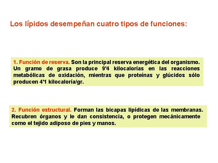 Los lípidos desempeñan cuatro tipos de funciones: 1. Función de reserva. Son la principal