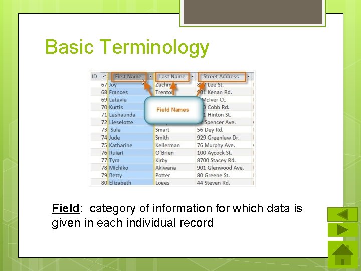 Basic Terminology Field: category of information for which data is given in each individual