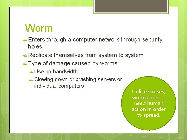 Worm Enters through a computer network through security holes Replicate themselves from system to