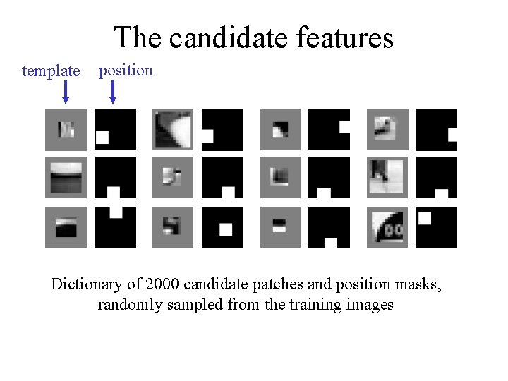 The candidate features template position Dictionary of 2000 candidate patches and position masks, randomly
