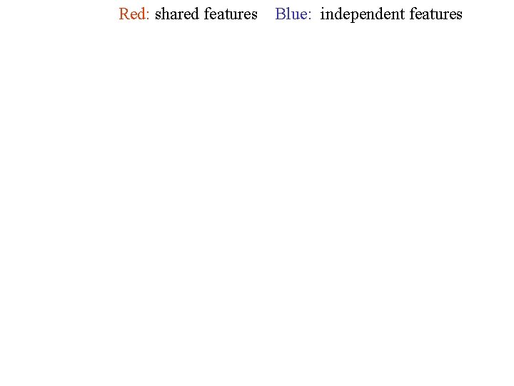 Red: shared features Blue: independent features 
