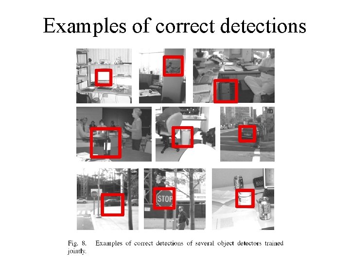Examples of correct detections 