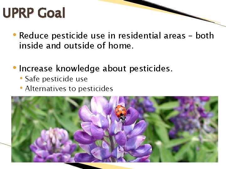 UPRP Goal • Reduce pesticide use in residential areas – both inside and outside