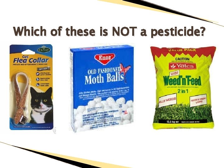 Which of these is NOT a pesticide? 