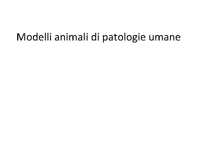 Modelli animali di patologie umane 