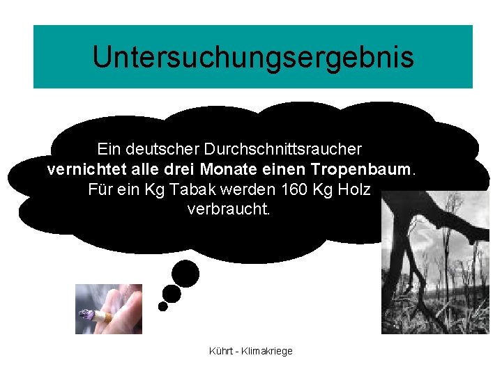 Untersuchungsergebnis Ein deutscher Durchschnittsraucher vernichtet alle drei Monate einen Tropenbaum. Für ein Kg Tabak