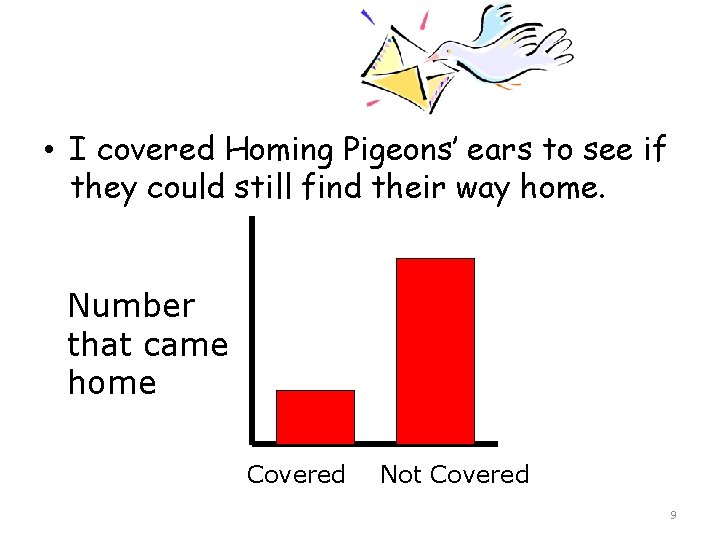  • I covered Homing Pigeons’ ears to see if they could still find