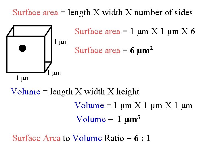 Surface area = length X width X number of sides Surface area = 1