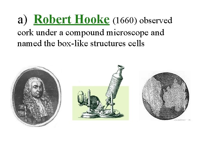 a) Robert Hooke (1660) observed cork under a compound microscope and named the box-like