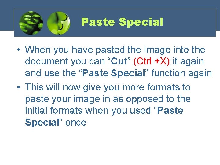 Paste Special • When you have pasted the image into the document you can