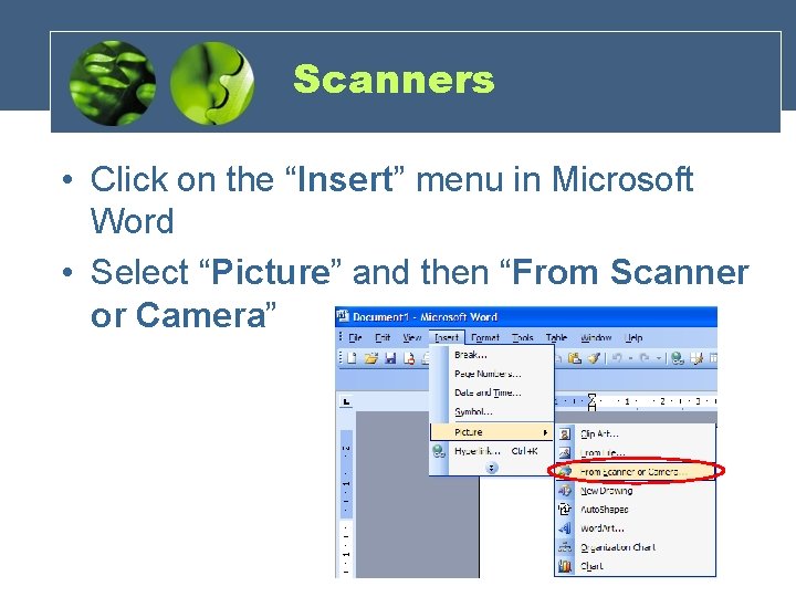 Scanners • Click on the “Insert” menu in Microsoft Word • Select “Picture” and