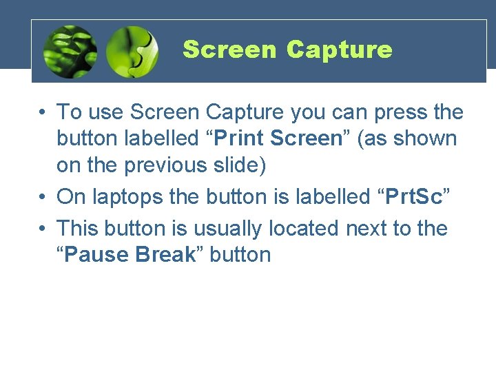 Screen Capture • To use Screen Capture you can press the button labelled “Print