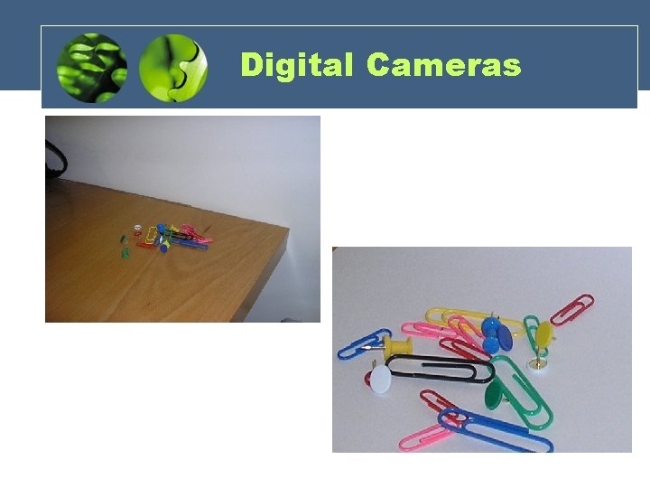 Digital Cameras 