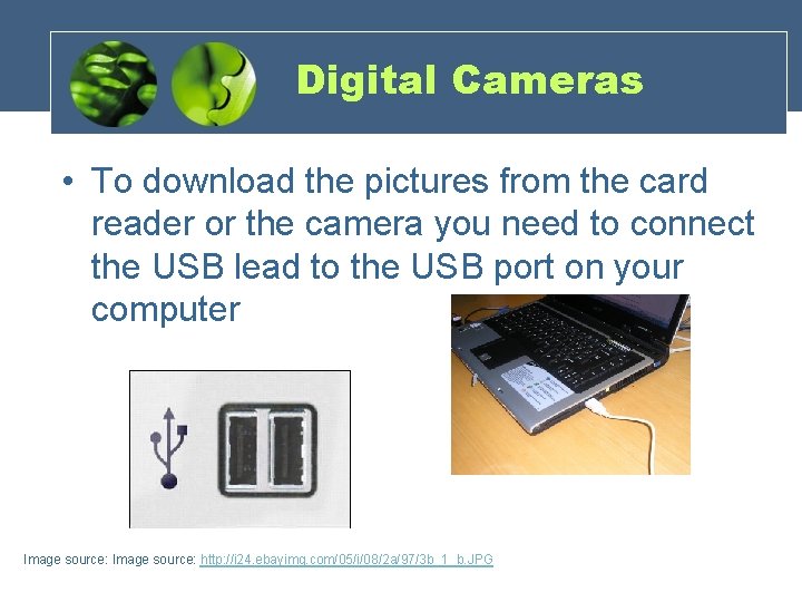 Digital Cameras • To download the pictures from the card reader or the camera